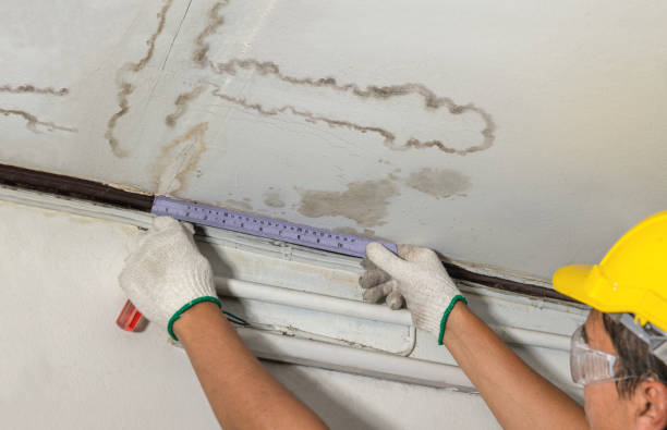 Reliable Sewage Cleanup contractor in Ringoes, NJ by Water Damage Irwin